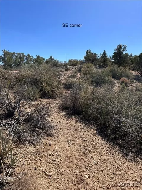 lot065 Pine Valley Dr, Hackberry, AZ 86411 photo 4