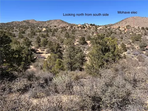 lot065 Pine Valley Dr, Hackberry, AZ 86411 photo 15