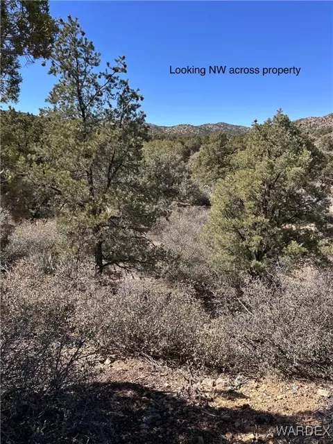 lot065 Pine Valley Dr, Hackberry, AZ 86411 photo 14