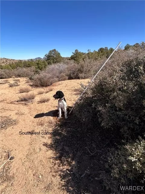 lot065 Pine Valley Dr, Hackberry, AZ 86411 photo 8