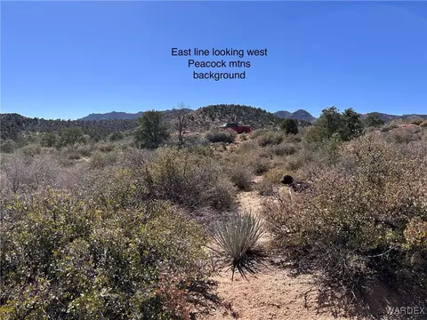 lot065 Pine Valley Dr, Hackberry, AZ 86411 photo 3