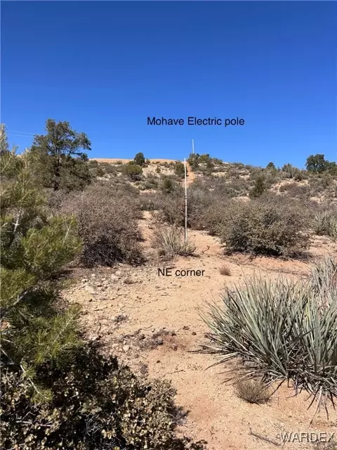 lot065 Pine Valley Dr, Hackberry, AZ 86411