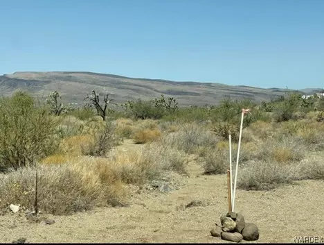 000 Paloma Dr, Dolan Springs, AZ 86441