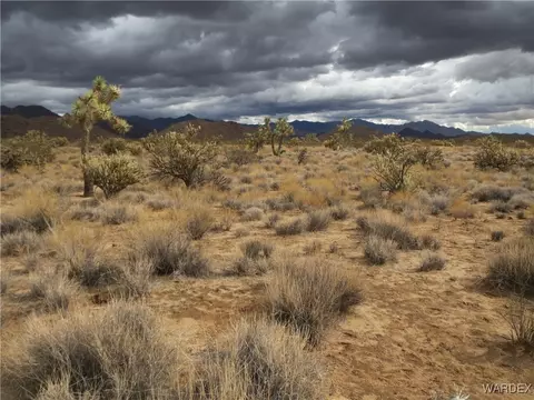 11844 S Desert View Rd, Yucca, AZ 86438