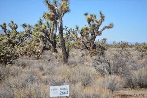 lot2664 Rawhide Rd, Yucca, AZ 86438