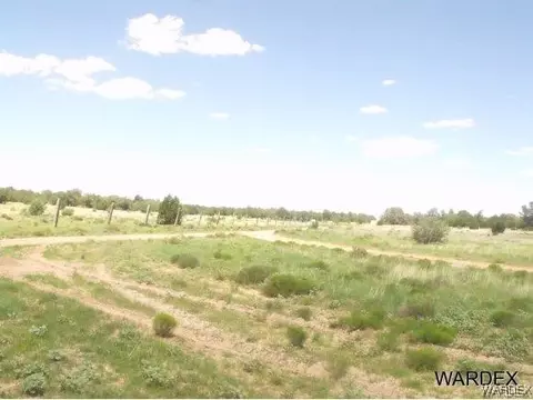0 Hard Rock Way #410, Seligman, AZ 86337