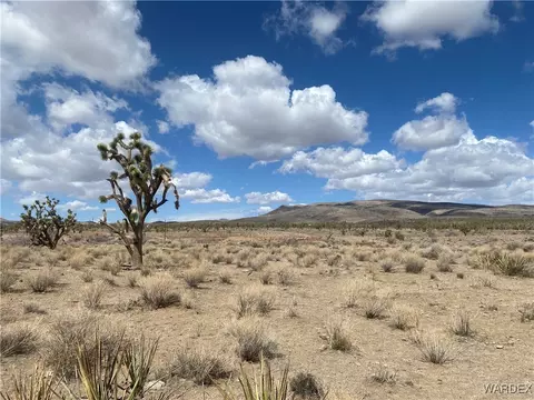 327-06 017 Palm, Dolan Springs, AZ 86441
