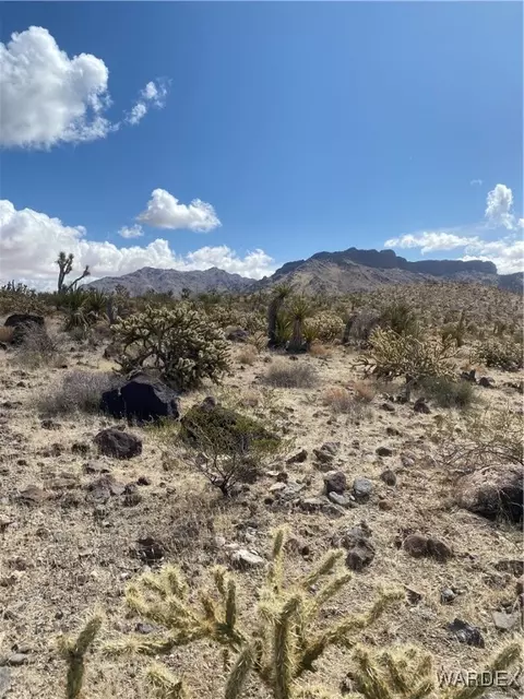 328-06 118 Needle Dr, Dolan Springs, AZ 86441