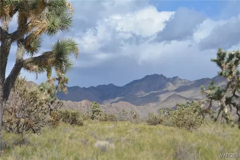 L9 S Jenny Road, Yucca, AZ 86438