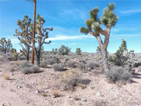 26241 N Humming Bird Ln, Meadview, AZ 86444