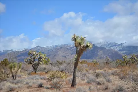 lot767 Alamola Cienega Rd, Yucca, AZ 86438