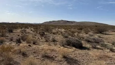 0 N Coyote Rd, Dolan Springs, AZ 86441