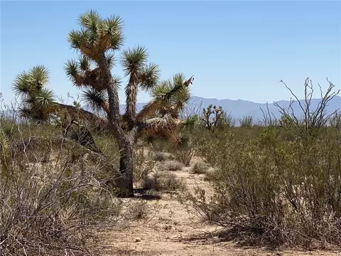 #812 Stagecoach Trail #812, Yucca, AZ 86438