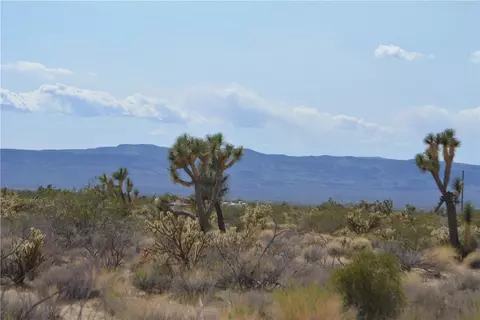 11189 S Alvis Rd, Yucca, AZ 86438