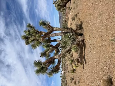 327-02 131 Sunflower Dr, Dolan Springs, AZ 86441