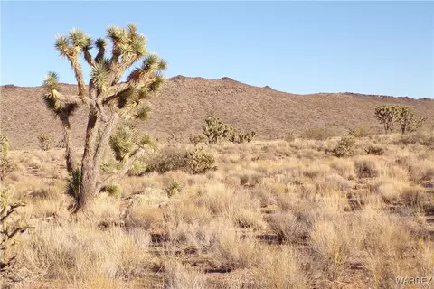 lot30 N Telegraph Dr, Dolan Springs, AZ 86441