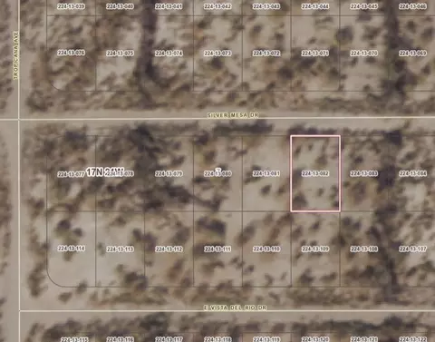 2910 Silver Mesa Dr, Mohave Valley, AZ 86440