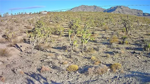 17096 N Manor Dr, Dolan Springs, AZ 86441