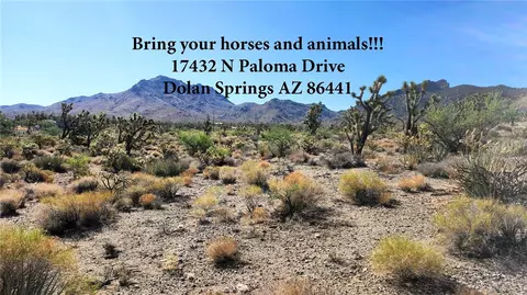17432 N Paloma Dr, Dolan Springs, AZ 86441