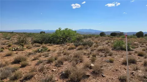 00 N Tyree Rd, Hackberry, AZ 86411 photo 5