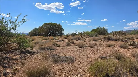 00 N Tyree Rd, Hackberry, AZ 86411 photo 12