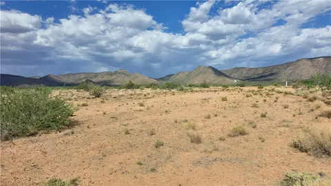 00 N Tyree Rd, Hackberry, AZ 86411 photo 13