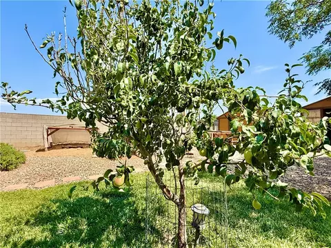 3960 E Snavely Way, Kingman, AZ 86409 photo 37