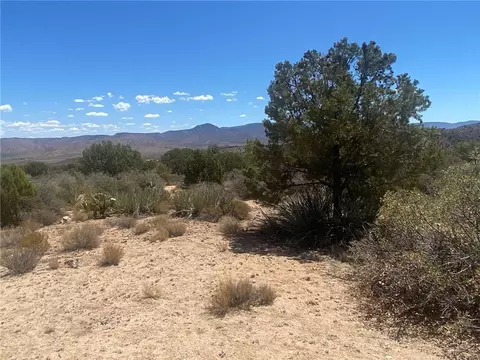 0000 Pine Valley Dr, Hackberry, AZ 86411 photo 6