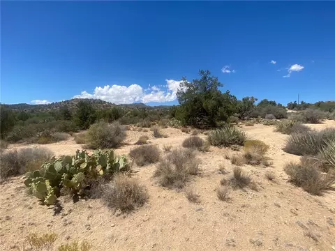 0000 Pine Valley Dr, Hackberry, AZ 86411 photo 5