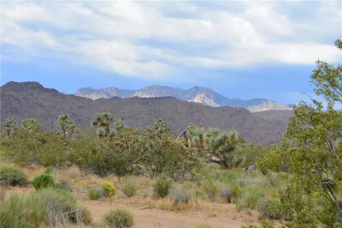 11719 S Duncan Rd, Yucca, AZ 86438