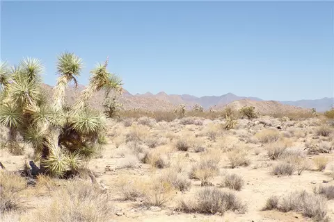 11814 Dateland Rd, Yucca, AZ 86438