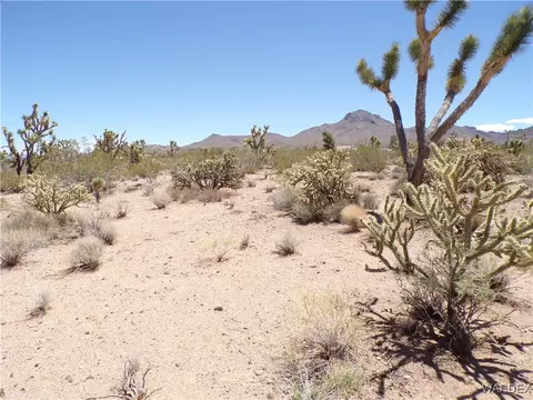 lot S 351 352 N Paloma Palo Alto Dr, Dolan Springs, AZ 86441