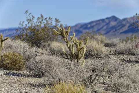 6 Lots Thunder Rapids Dr, Meadview, AZ 86444