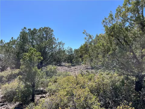 243 N Kit Fox Trl, Kingman, AZ 86401