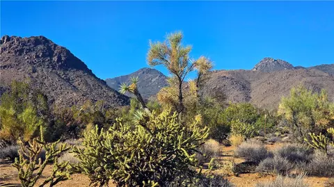 2 S Cattle Crossing Rd # B, Yucca, AZ 86438