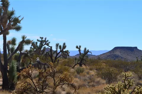 lot3 Bush Rd, Yucca, AZ 86438
