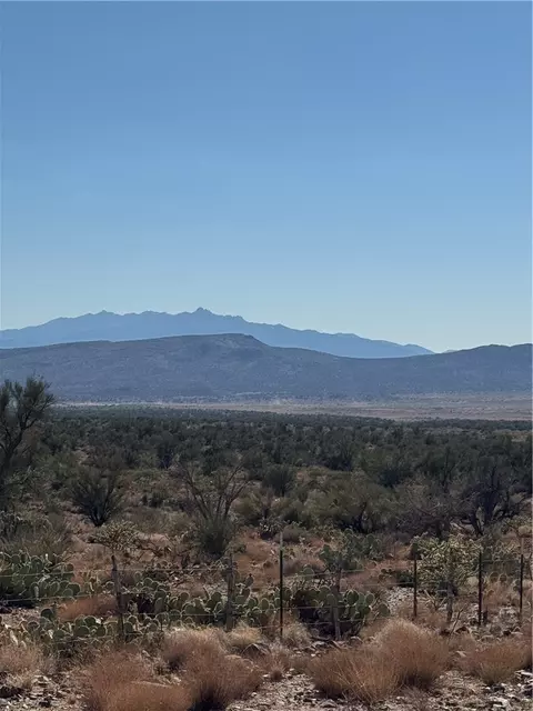 00 E Morning Bird Cir, Hackberry, AZ 86411 photo 8