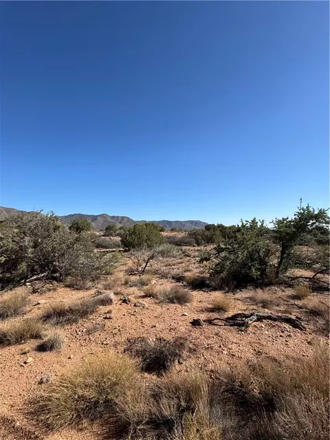 00 E Morning Bird Cir, Hackberry, AZ 86411 photo 2