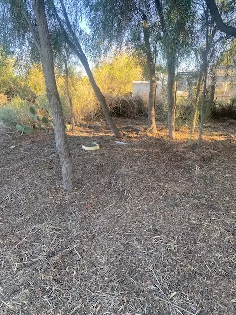 2048 E Hackamore Dr, Mohave Valley, AZ 86440 photo 2