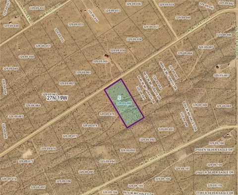 8674 W Mc Grath Dr, White Hills, AZ 86445