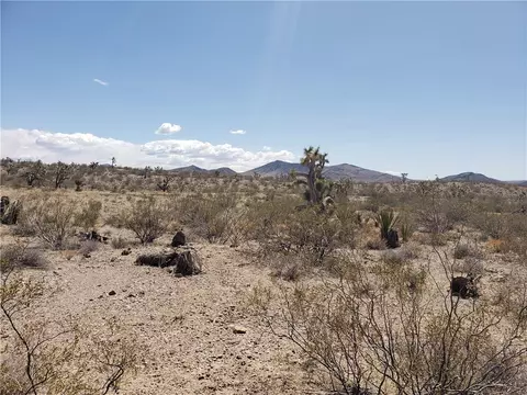 000 White Hills Rd, White Hills, AZ 86445