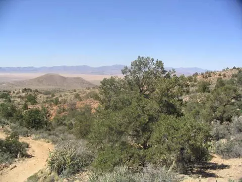 0 Peacock, Kingman, AZ 86401 photo 17