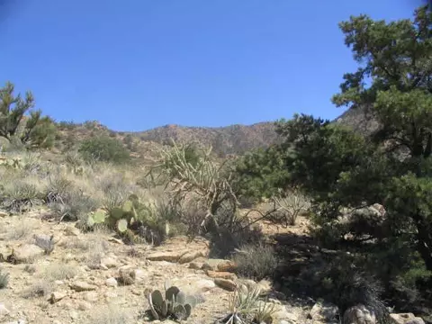 0 Peacock, Kingman, AZ 86401 photo 16