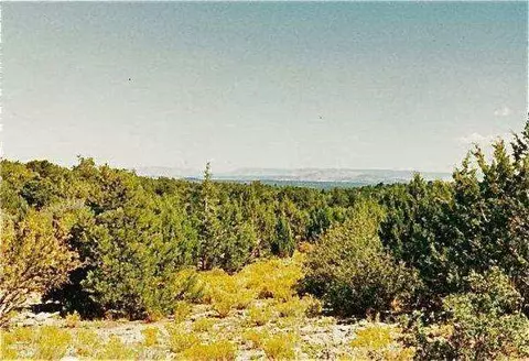 40 Ac 314-54-009, Peach Springs, AZ 86434