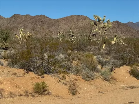 24203004 S Sundance Kid Rd, Yucca, AZ 86438