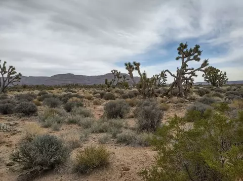 27402 N Peach Dr, Meadview, AZ 86444