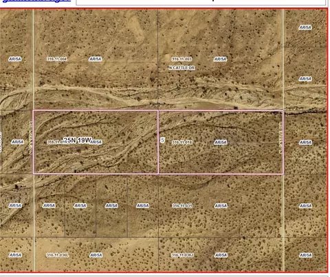 316-11 018 Cattle, Dolan Springs, AZ 86441