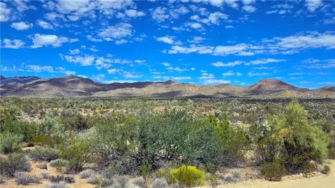 8375 E Cholla Dr, Yucca, AZ 86438 photo 8