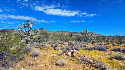8375 E Cholla Dr, Yucca, AZ 86438 photo 18