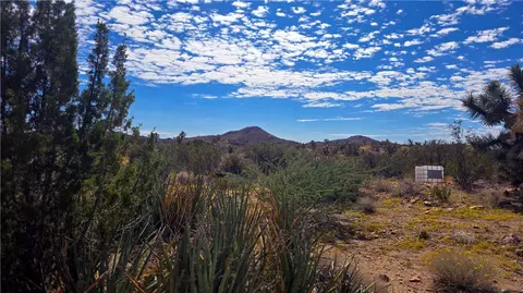 8375 E Cholla Dr, Yucca, AZ 86438 photo 14